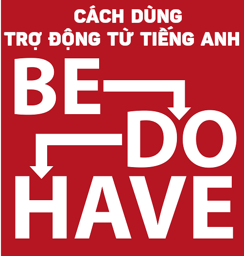 cach dung tro dong tu tieng anh be do have
