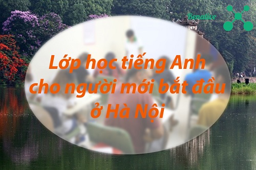 Lớp học tiếng Anh cho người mới bắt đầu ở Hà Nội