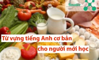 tu vung tieng anh co ban