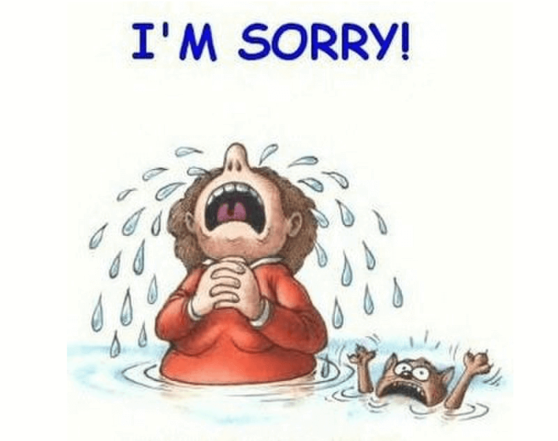 Cách nói xin lỗi trong giao tiếp tiếng Anh